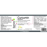 Curcuma micronizzata - CURCUMIN MicroActive® (60 capsule) – integratore alimentare