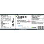 Citocolin Cognizin® 60 Kapseln vegan Nahrungsergänzungsmittel