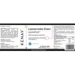Liposomales Eisen LipoCellTech™