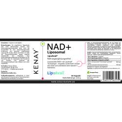 NAD+ Liposomal LipoAvail® 60 Kapseln | Nahrungsergänzungsmittel | KENAY®