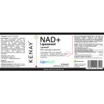 NAD+ Liposomal LipoAvail® 60 Kapseln | Nahrungsergänzungsmittel | KENAY®